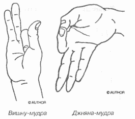 Энциклопедия йоги - pic_143.png