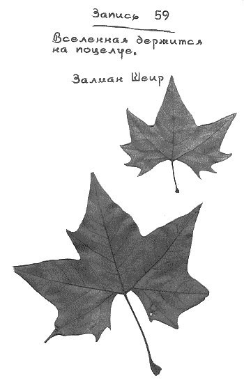 Квантовая теория любви - _00076.png_0