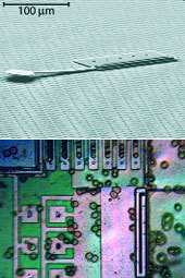 Журнал «Компьютерра» №35 от 28 сентября 2005 года - _upload607b1v5.jpg