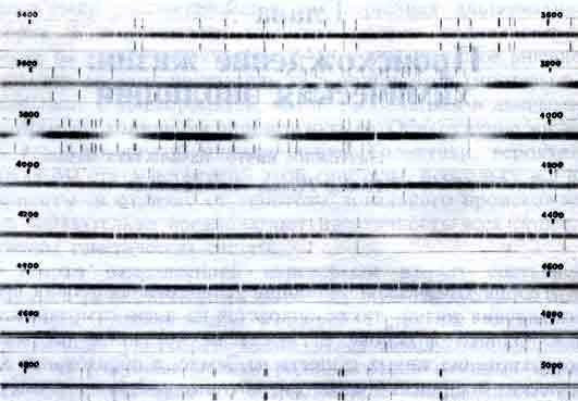 Поиски жизни в Солнечной системе - _7.jpg