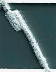 Журнал «Компьютерра» №41 от 08 ноября 2005 года - pic_5.jpg