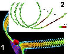 Журнал «Компьютерра» №43 от 22 ноября 2005 года - pic_9.jpg