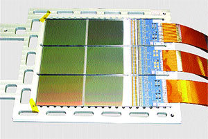 Журнал «Компьютерра» № 24 от 27 июня 2006 года - _644y1f8.jpg