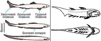 Журнал «Компьютерра» № 25-26 от 11 июля 2006 года (645 и 646 номер) - _645g14u8.jpg