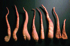 Журнал «Компьютерра» № 7 от 21 февраля 2006 года - _627u24m2.jpg