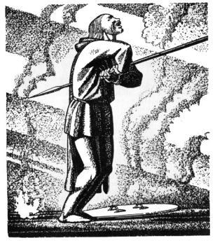 Исландские саги. Ирландский эпос - i_005.jpg