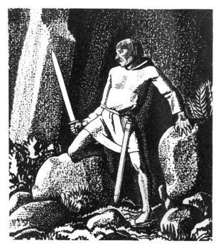 Исландские саги. Ирландский эпос - i_008.jpg