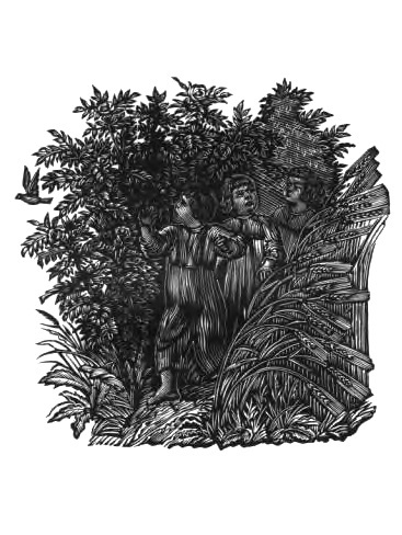 Баллады. Роберт Стивенсон, Роберт Бернс, Джон Китс, Иоган Гёте, Александр Пушкин, Николай Самойлов - i_002.jpg