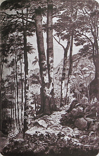 Зеленый Генрих - i_017.jpg