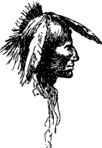 Генри Лонгфелло. Песнь о Гайавате. Уолт Уитмен. Стихотворения и поэмы. Эмили Дикинсон. Стихотворения. - i_035.jpg