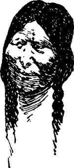 Генри Лонгфелло. Песнь о Гайавате. Уолт Уитмен. Стихотворения и поэмы. Эмили Дикинсон. Стихотворения. - i_036.jpg