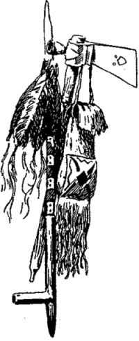 Генри Лонгфелло. Песнь о Гайавате. Уолт Уитмен. Стихотворения и поэмы. Эмили Дикинсон. Стихотворения. - i_038.jpg