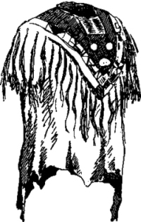 Генри Лонгфелло. Песнь о Гайавате. Уолт Уитмен. Стихотворения и поэмы. Эмили Дикинсон. Стихотворения. - i_048.jpg