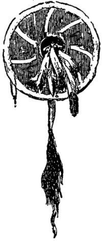 Генри Лонгфелло. Песнь о Гайавате. Уолт Уитмен. Стихотворения и поэмы. Эмили Дикинсон. Стихотворения. - i_055.jpg