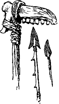 Генри Лонгфелло. Песнь о Гайавате. Уолт Уитмен. Стихотворения и поэмы. Эмили Дикинсон. Стихотворения. - i_057.jpg