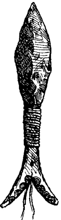 Генри Лонгфелло. Песнь о Гайавате. Уолт Уитмен. Стихотворения и поэмы. Эмили Дикинсон. Стихотворения. - i_058.jpg