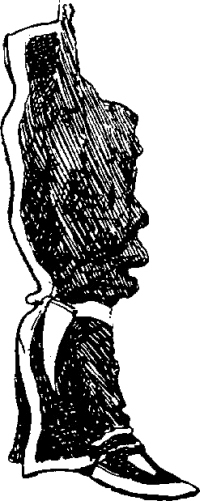 Генри Лонгфелло. Песнь о Гайавате. Уолт Уитмен. Стихотворения и поэмы. Эмили Дикинсон. Стихотворения. - i_061.jpg