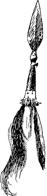 Генри Лонгфелло. Песнь о Гайавате. Уолт Уитмен. Стихотворения и поэмы. Эмили Дикинсон. Стихотворения. - i_071.jpg