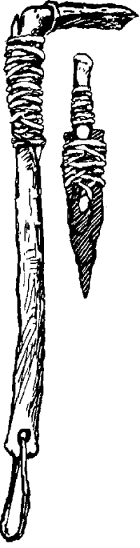 Генри Лонгфелло. Песнь о Гайавате. Уолт Уитмен. Стихотворения и поэмы. Эмили Дикинсон. Стихотворения. - i_073.jpg