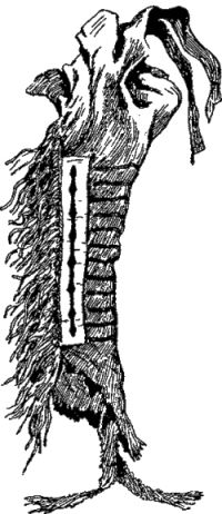 Генри Лонгфелло. Песнь о Гайавате. Уолт Уитмен. Стихотворения и поэмы. Эмили Дикинсон. Стихотворения. - i_077.jpg
