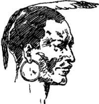 Генри Лонгфелло. Песнь о Гайавате. Уолт Уитмен. Стихотворения и поэмы. Эмили Дикинсон. Стихотворения. - i_078.jpg