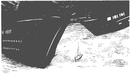 Под парусом вокруг Старого Света: Записки мечтательной вороны - i_009.png