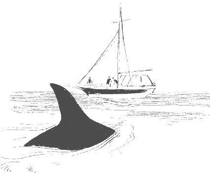 Под парусом вокруг Старого Света: Записки мечтательной вороны - i_017.png