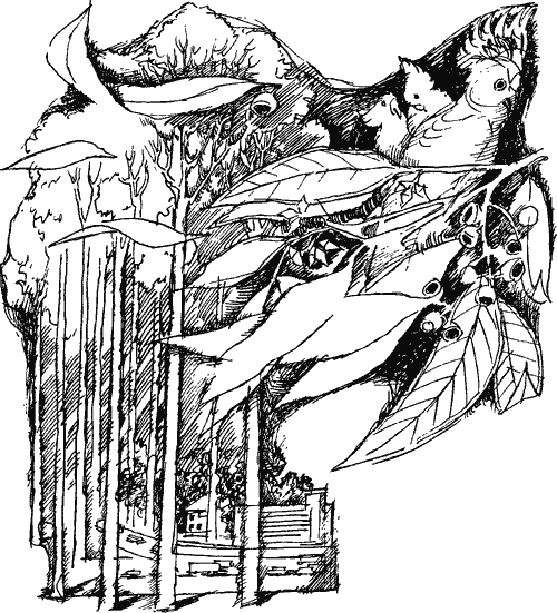 Занимательно о фитогеографии - i_025.png