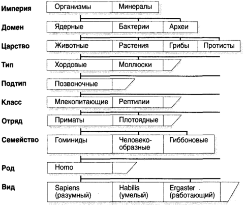 Десять великих идей науки. Как устроен наш мир. - i_002.png