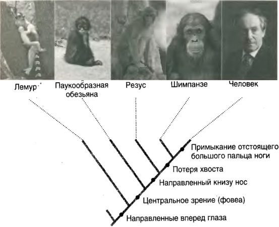 Десять великих идей науки. Как устроен наш мир. - i_003.jpg