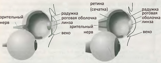 Десять великих идей науки. Как устроен наш мир. - i_006.jpg