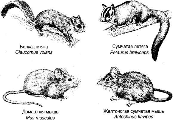 Десять великих идей науки. Как устроен наш мир. - i_008.jpg