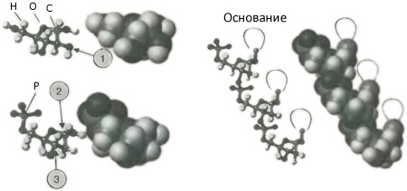 Десять великих идей науки. Как устроен наш мир. - i_018.jpg