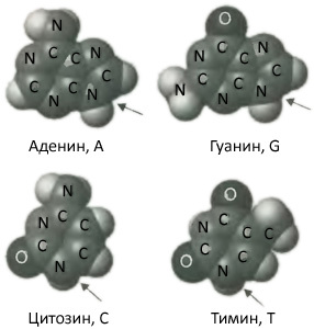 Десять великих идей науки. Как устроен наш мир. - i_019.jpg