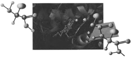 Десять великих идей науки. Как устроен наш мир. - i_024.jpg