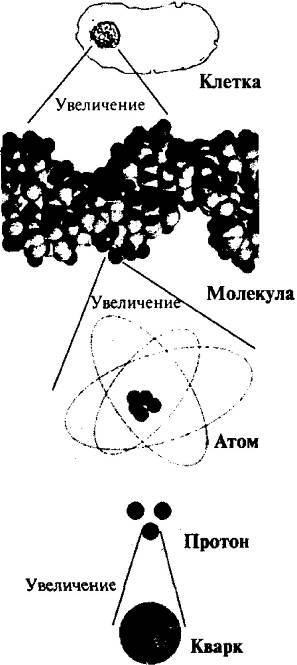 Пять нерешенных проблем науки - i_007.jpg