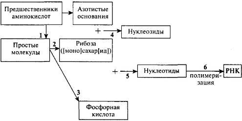 Пять нерешенных проблем науки - i_031.jpg