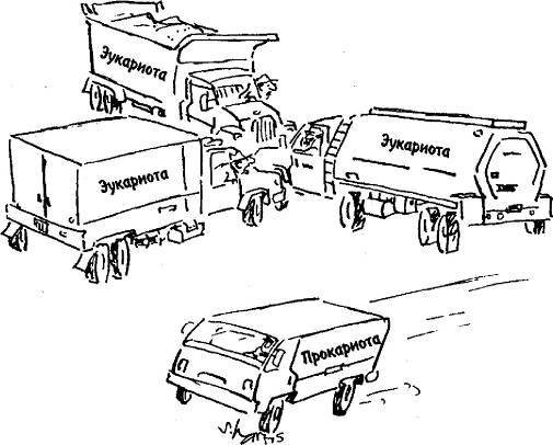 Пять нерешенных проблем науки - i_042.jpg