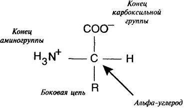 Пять нерешенных проблем науки - i_085.jpg