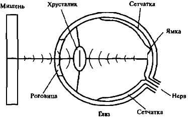 Самосознающая вселенная. Как сознание создает материальный мир - img_23.png