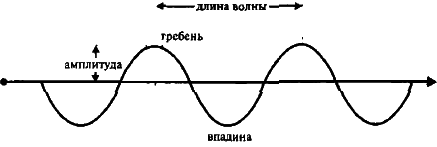 Самосознающая вселенная. Как сознание создает материальный мир - img_4.png