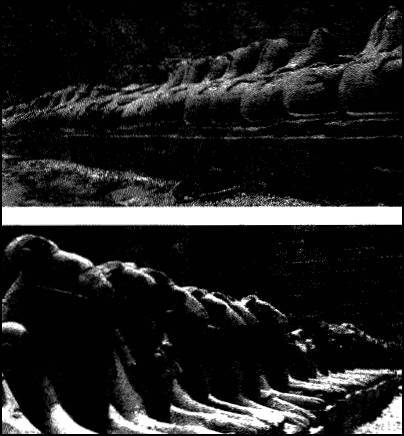 Глаза Сфинкса - i_014.jpg