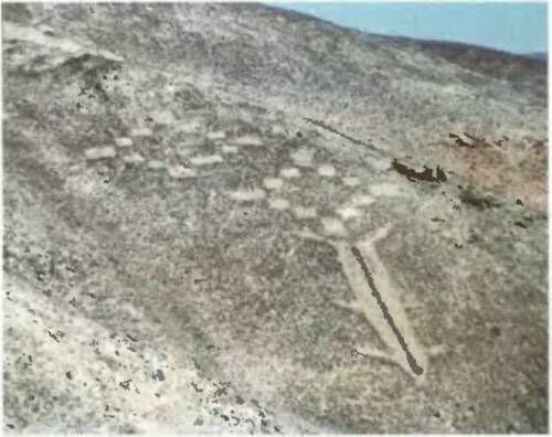 Знаки, обращенные в вечность - i_044.jpg