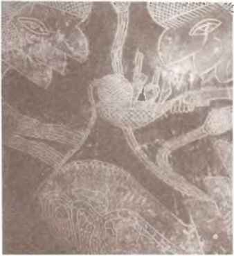 По следам всемогущих богов - i_086.jpg