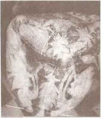 По следам всемогущих богов - i_087.jpg