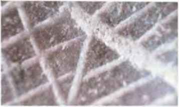 По следам всемогущих богов - i_088.jpg