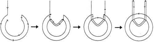 Последний элемент - img16.jpg