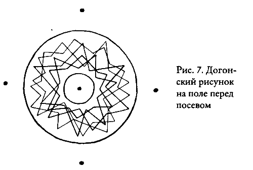 Тайные знания догонов об истоках человечества - i_021.png