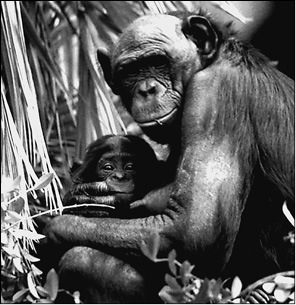 100 великих приключений - i_007.jpg