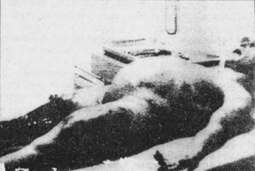 100 великих тайн - i_014.jpg